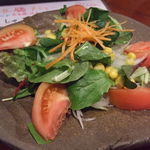 Nekotei - おまかせサラダ