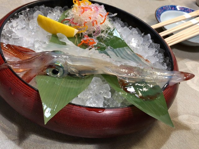 鳥取市 賀露市場にある白いか ケンサキイカ の活き造りのお店 海陽亭 By Mizu4090 海陽亭 かいようてい 鳥取大学前 魚介料理 海鮮料理 食べログ 鳥取市 賀露市場にある白いか ケンサキイカ の活き造りのお店 海陽亭 By Mizu4090 海陽亭 かいようてい 鳥取大学前 魚介料理 海鮮料理 食べログ