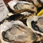 gigas Oyster Spot Bar - 