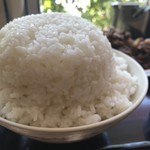 キッチンオトボケ - ご飯大盛りにするとこんな感じになります。