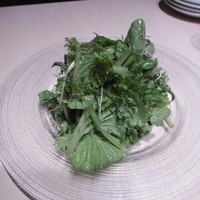 焼肉矢澤 京都 - 香草サラダ小
