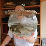 料理屋 植むら - 