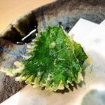 てんぷら さくら - 