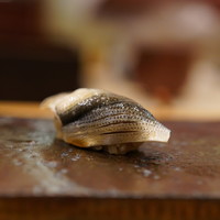 鮨 いとう - 小鰭