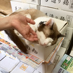吉田製麺株式会社 - 