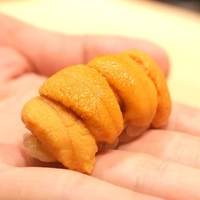 五反田鮨 SUSHI TOKYO 81 - 