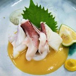 旬の鮮魚と魂の煮込み 照 - 