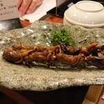 籠ノ島 - 肝串  450円