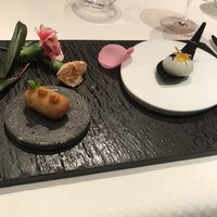 ジョンティ アッシュ - 