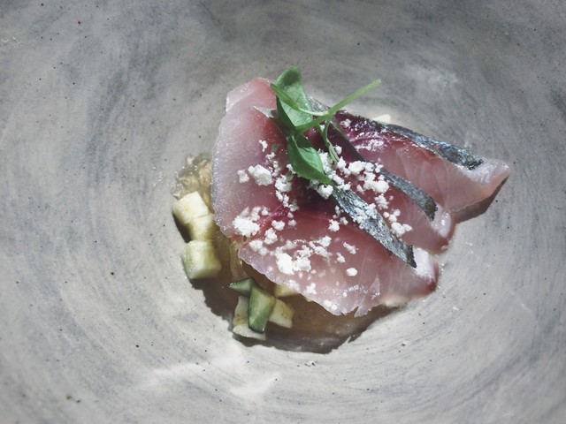 sardexka, Tokyo, Japan