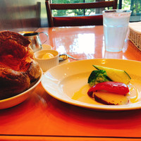 トラットリア グランボッカ - 