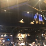 HARD ROCK CAFE - 