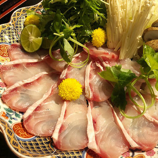 稀少な幻の魚 天然クエ鍋コース 先斗町 魯ビン ぽんとちょう ろびん 三条 京料理 食べログ 稀少な幻の魚 天然クエ鍋コース 先斗町 魯ビン ぽんとちょう ろびん 三条 京料理 食べログ