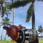 Fiesta Beachside BBQ&Show - 