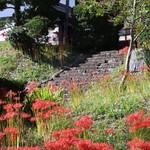 支那そば 僉 - おまけ。如意輪寺の彼岸花！まだ蕾もあったのでもう少し楽しめそう。