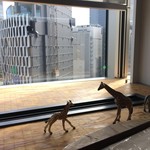 ハンズカフェ - 棚のキリン（後ろに阪急百貨店）