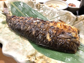 独りで昼飲みデキル十三 塚本のお店10選 マイベス 食べログまとめ 独りで昼飲みデキル十三 塚本のお店10選 マイベス 食べログまとめ