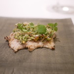 カンテサンス - 