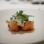 カンテサンス - 