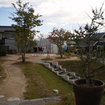 Gs.Terapi - 