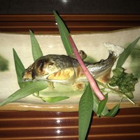 眺河　先斗町～華～ - 子持ち鮎の塩焼き