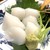 炭火焼定食 すみか亭 - 紋甲イカお造り 480yen