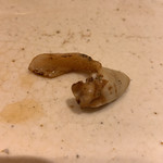 すし岩瀬 - 貝の炙り