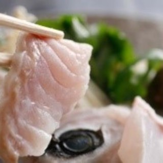 東京でおすすめの鍋 クエ鍋 をご紹介 食べログ 東京でおすすめの鍋 クエ鍋 をご紹介 食べログ