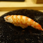 すし処 睦月 - 車海老
