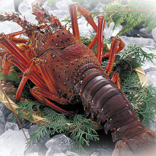 当店最上級 三田牛や伊勢海老 アワビなど 豪華食材を堪能する全12品 三福田 さんぷくでん 三福 さんぷく 三田 居酒屋 食べログ