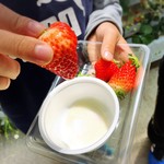 いちごハウス たかはし - 