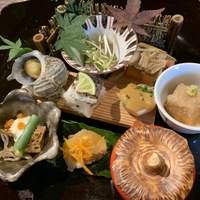 青山 星のなる木 - 