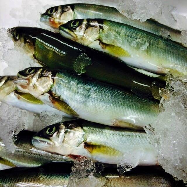 串揚げ専門店 紀の川 大宮 串揚げ 串かつ 食べログ