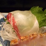 鮨 のぐち - たい