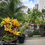 Wolfgang's Steakhouse by Wolfgang Zwiener - 