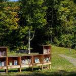 Fogliolina della Porta Fortuna - 空下の図書館