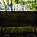 Fogliolina della Porta Fortuna - 森のベンチ