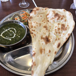 サティ - チキンサグカレー