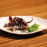 ホタルイカの一夜干し