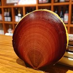 郷彩 根っこ - 月日貝、佐賀県産