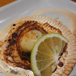 郷彩 根っこ - 月日貝