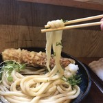 讃岐うどん はるしん - 相変わらずのしっかりしたコシ。嫌味のない食べ応えで、つゆともマッチ。時々薬味で味変も楽しみながら頂きます。二玉まで同料金が良心的です。