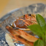 ビストロ セレニテ - 