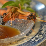 ビストロ セレニテ - 