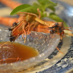 ビストロ セレニテ - 