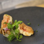 ビストロ セレニテ - 