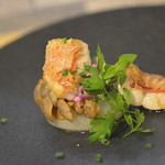 ビストロ セレニテ - 