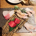 鶏と魚と炭火焼き 燈 - 