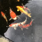 カフェアンドショップ ロータスランド - 2019/09/28
      おまかせセット 550円
      ・トマトと卵のトマ卵麺
      ・青パパイヤの和え物
      ・じゃが芋もち
      ・フレッシュサラダ
      ・ミニライス