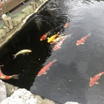 カフェアンドショップ ロータスランド - 2019/09/28
      おまかせセット 550円
      ・トマトと卵のトマ卵麺
      ・青パパイヤの和え物
      ・じゃが芋もち
      ・フレッシュサラダ
      ・ミニライス